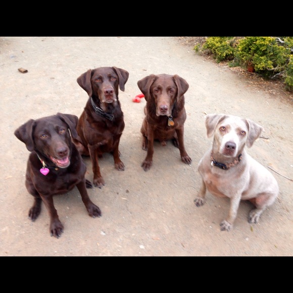 Meet your Posher, Vanessa - Picture 6 of 6